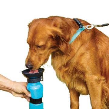 Traveler's Dog Water Feeder Bottle - Gadget Funnel